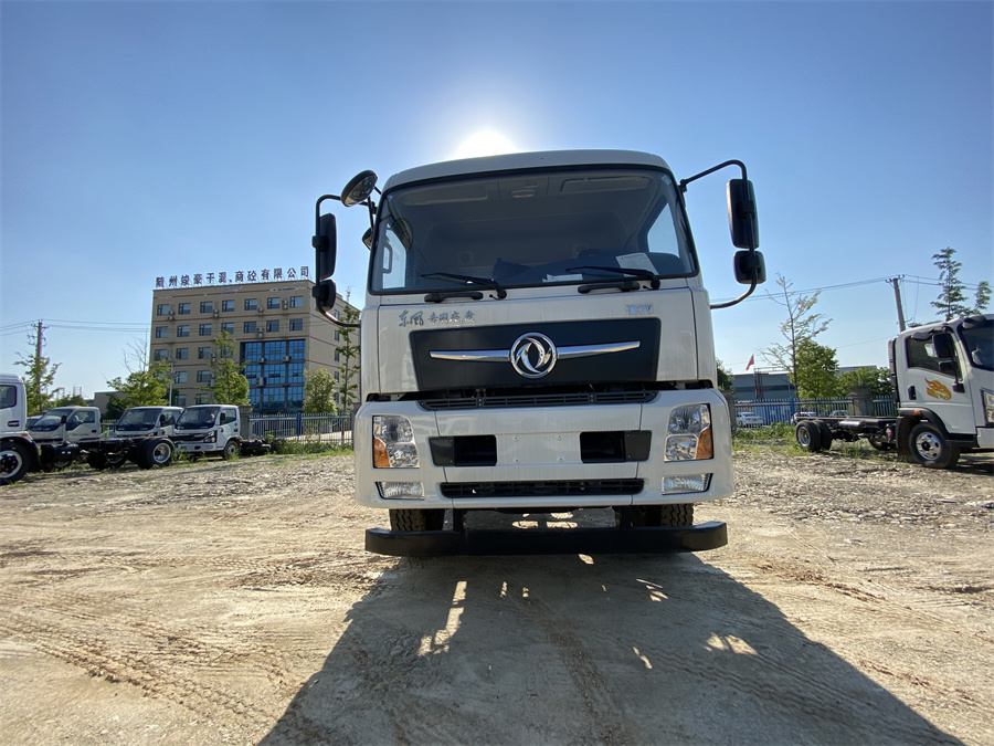 東風(fēng)D3V（后雙橋，康明斯260）國(guó)六 內(nèi)飾照片圖